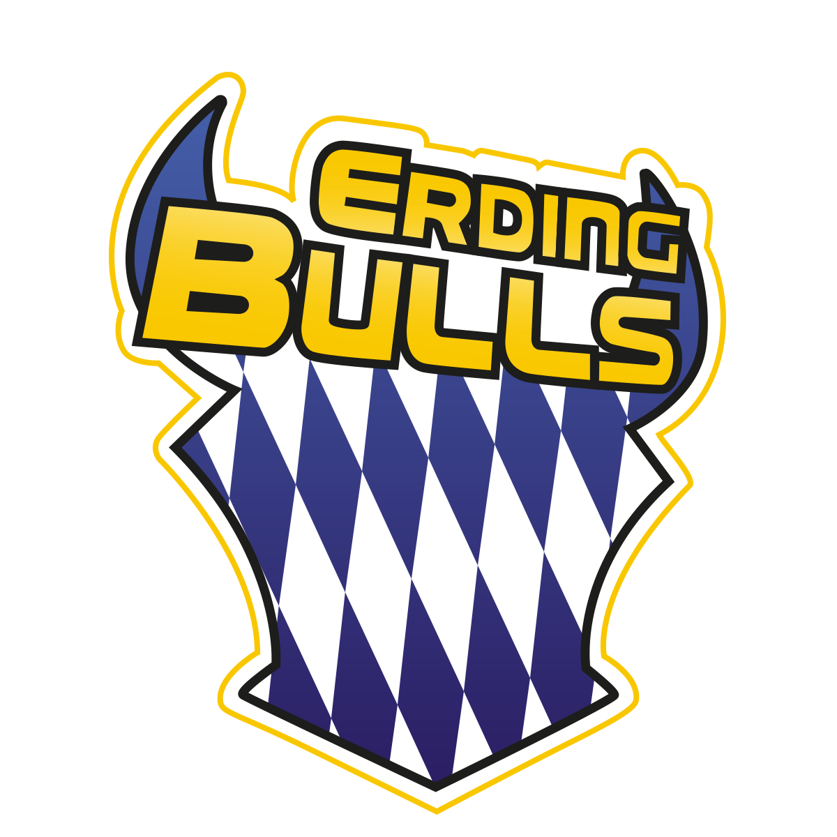 Erding Bulls